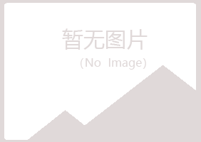 清水河县紫山化学有限公司